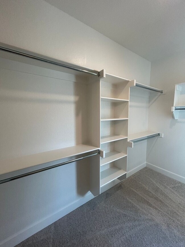 Building Photo - Brand New 4 bed 2.5 bath Modern Build in P...