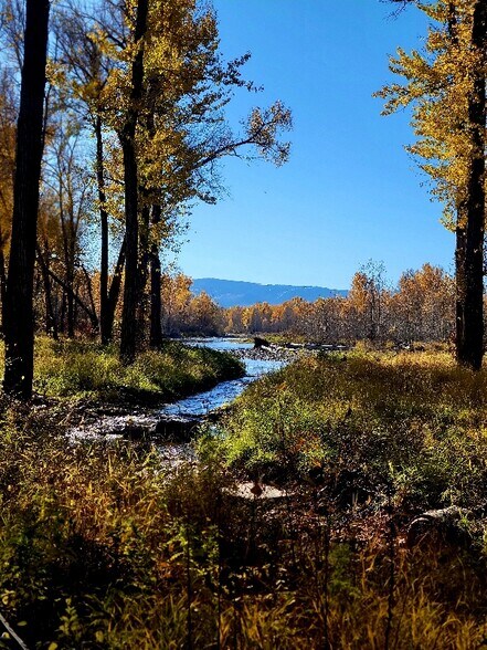 Building Photo - 135 Hideaway Dr