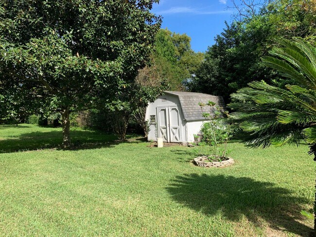 Building Photo - Beautiful Spring Hill pool home