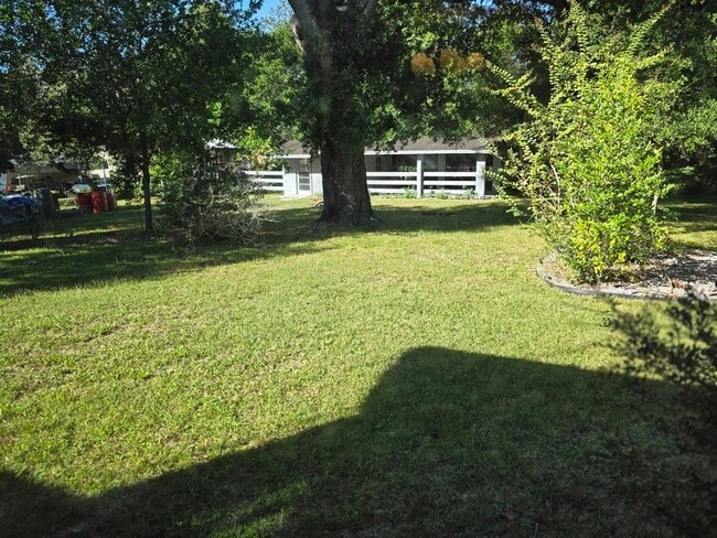 Building Photo - 220 Buena Vista St