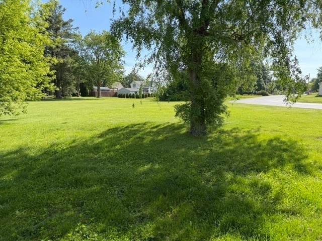 Building Photo - 172 Oak Dr