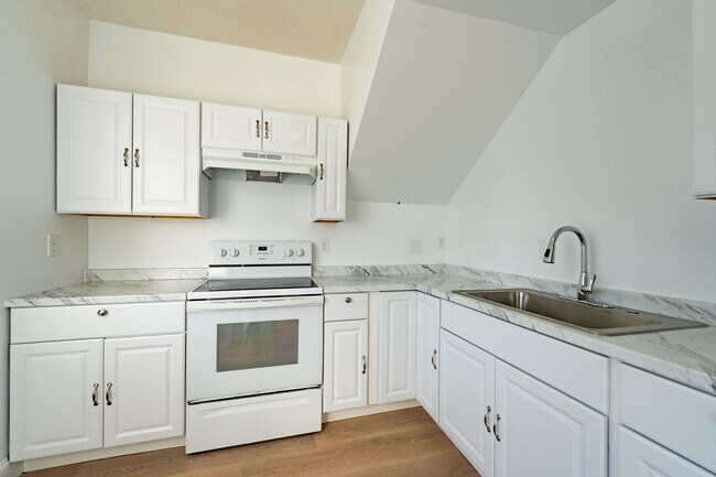 Primary Photo - Spruce (294)