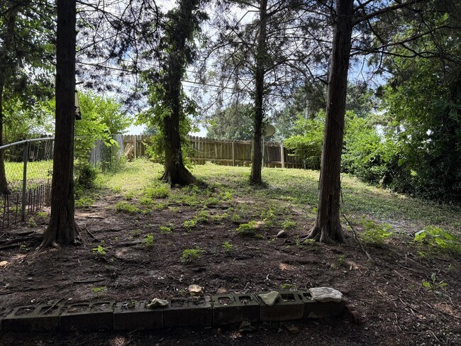 Building Photo - 2216 Live Oak Ln