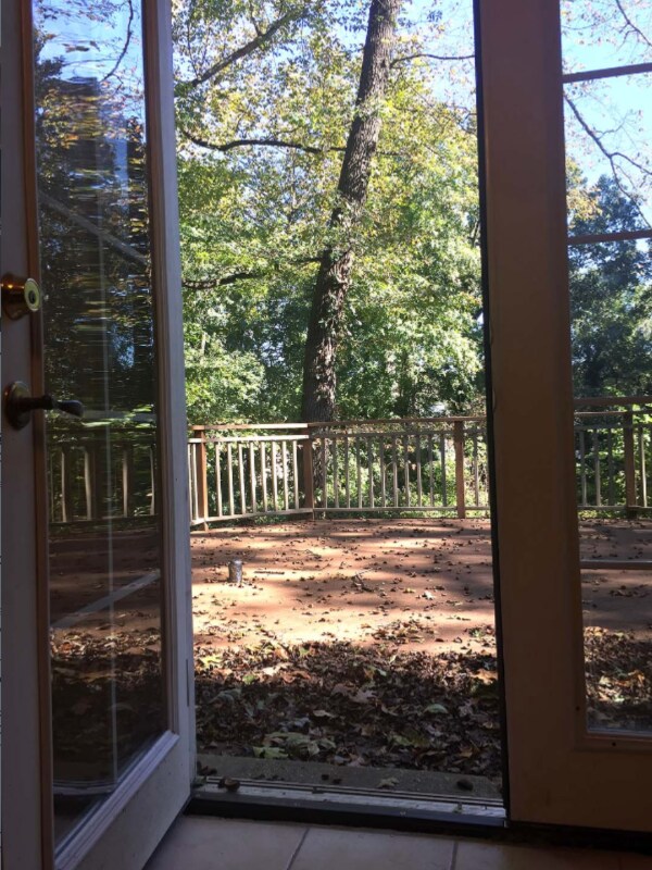 Building Photo - 44334 Village Dr