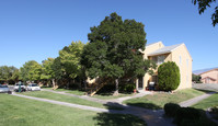 Building Photo - Desert Shade Apartments