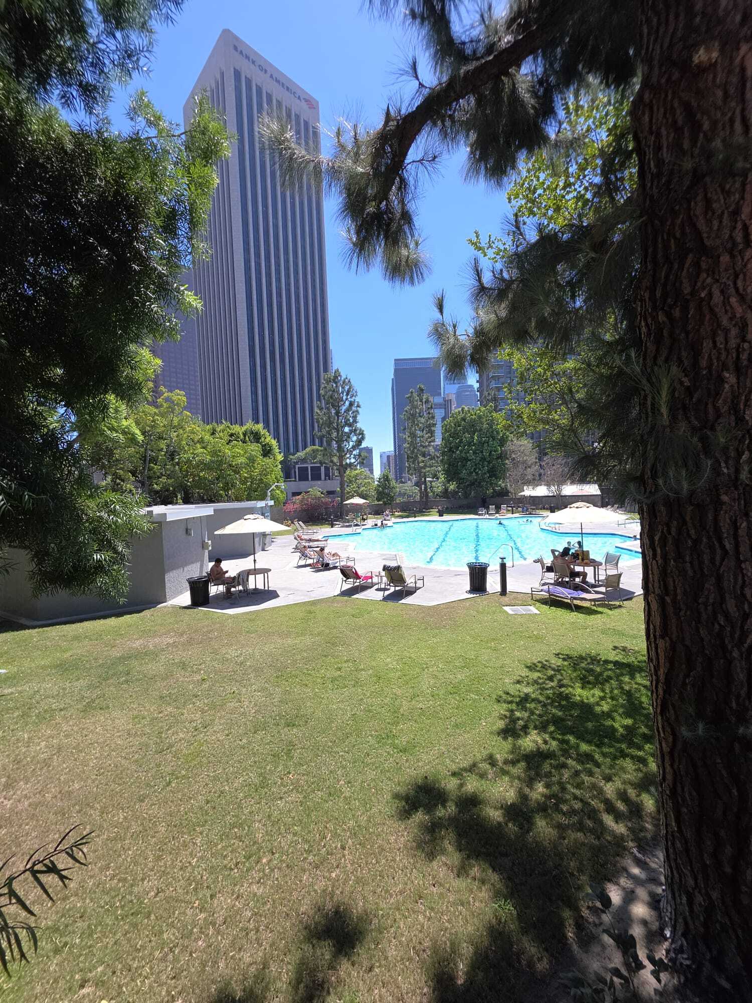 Pool Area - 800 W 1st St