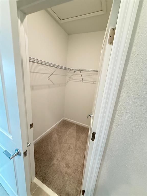 Building Photo - 2969 Good Vibes Wy