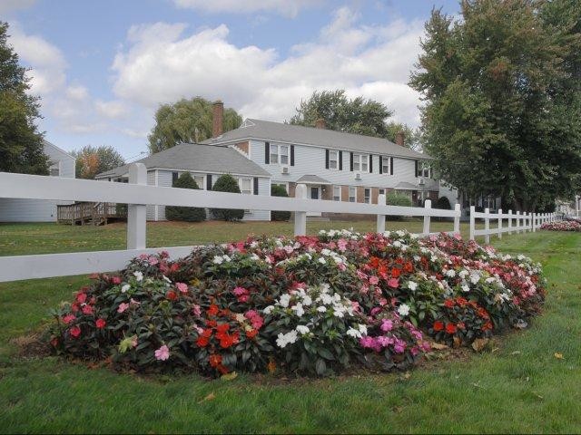 Primary Photo - Chicopee Village Townhomes