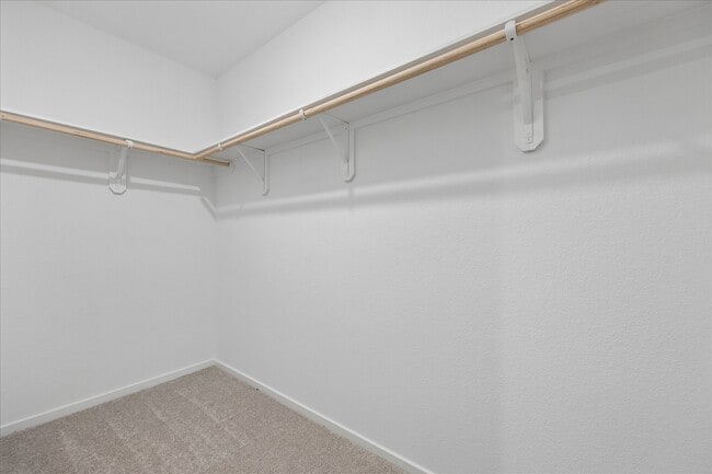 Building Photo - 337 Grayson Baw Ln