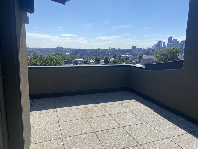 Private rooftop deck - 3211 Shoshone St