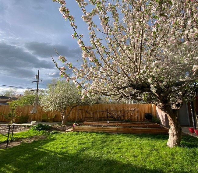 Building Photo - Incredible 5 bedroom Home in Westminster