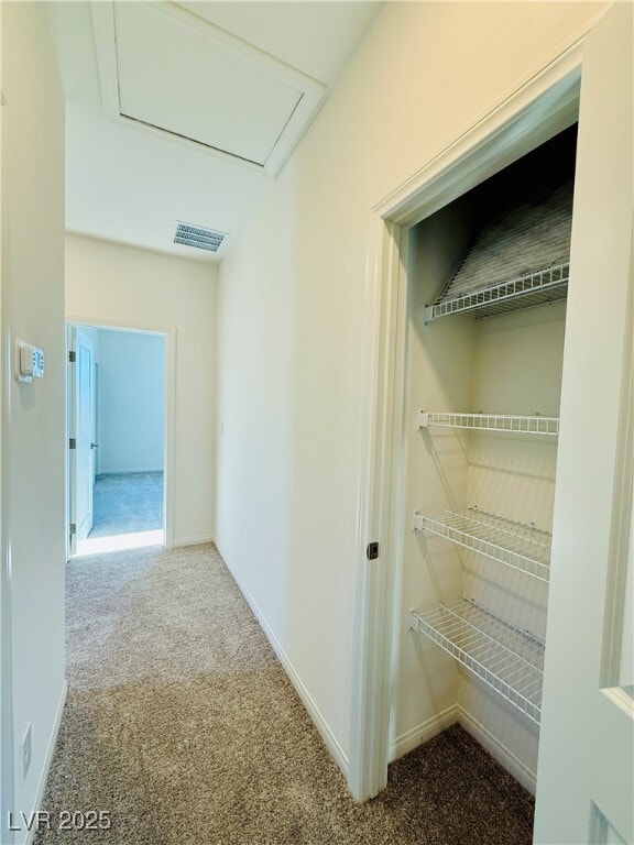 Building Photo - 1544 Little Penguin St