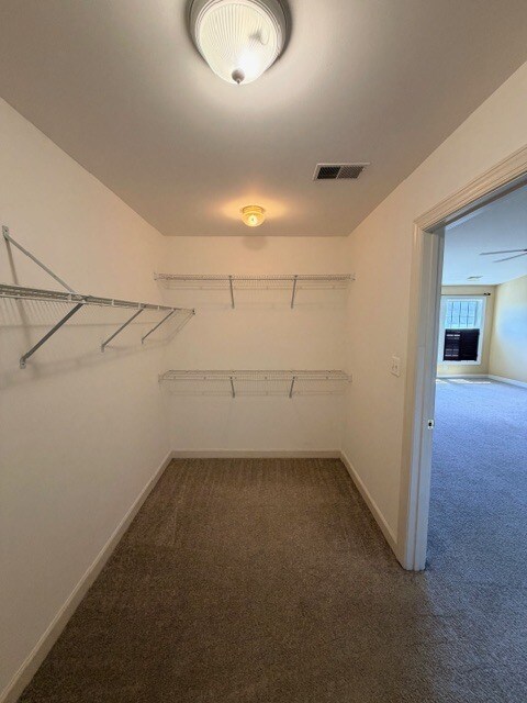 Building Photo - 203 Altair Way