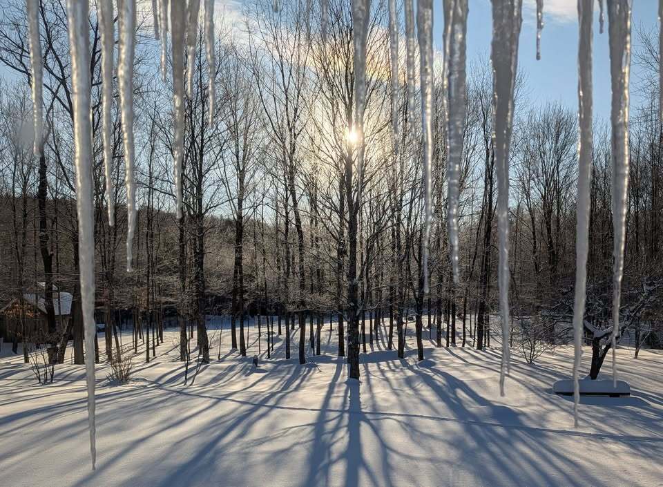 Backyard in winter - 217 Bigelow Hill Rd
