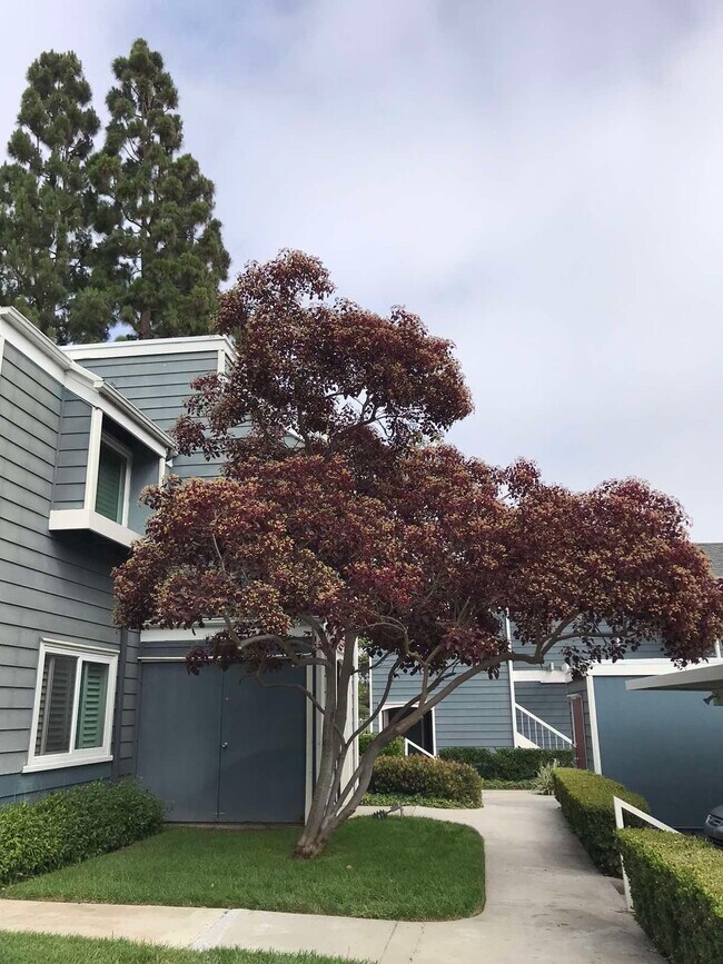 6000 Bixby Village Dr 6000 Bixby Village Dr Long Beach CA 90803 Apartment Finder