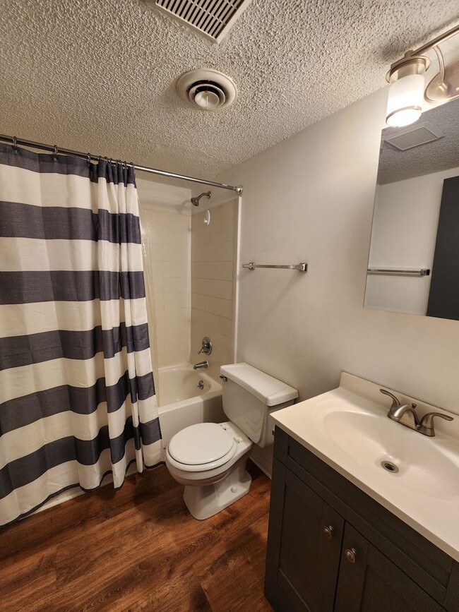 Building Photo - Downstairs Apartment in Black Mountain!