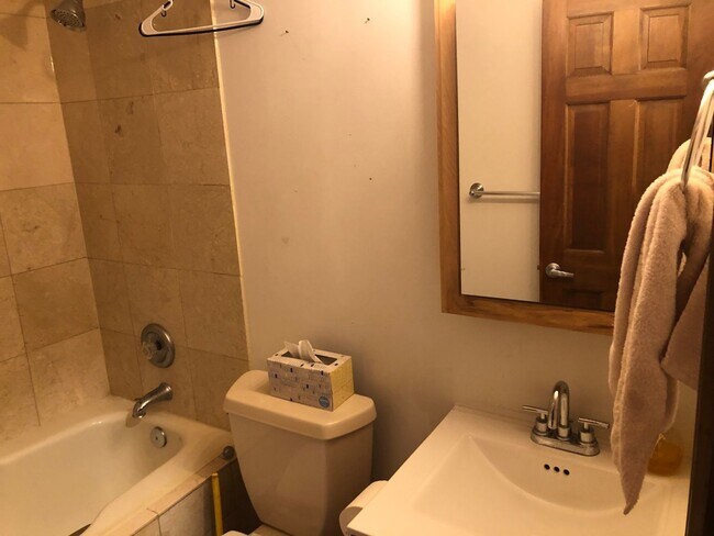 Building Photo - Large Lincoln Park 2 Bed, 2 Bath Duplex