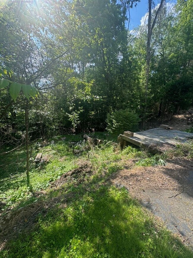 Building Photo - 237 Collins Dr