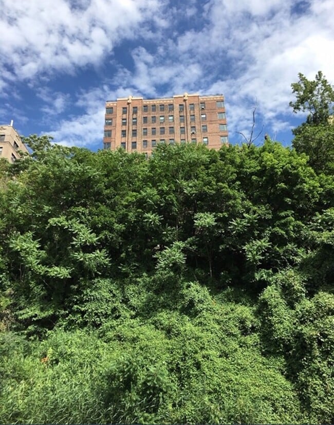 Building Photo - 250 Cabrini Blvd