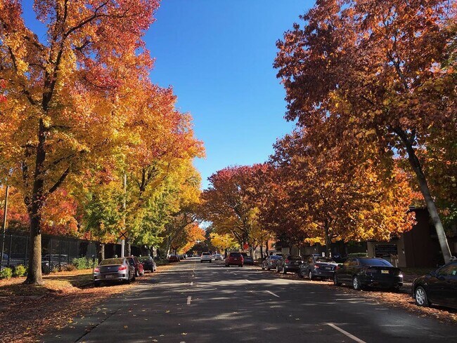 Just outside of the building; fall colors on N Street are vibrant - 500 N St