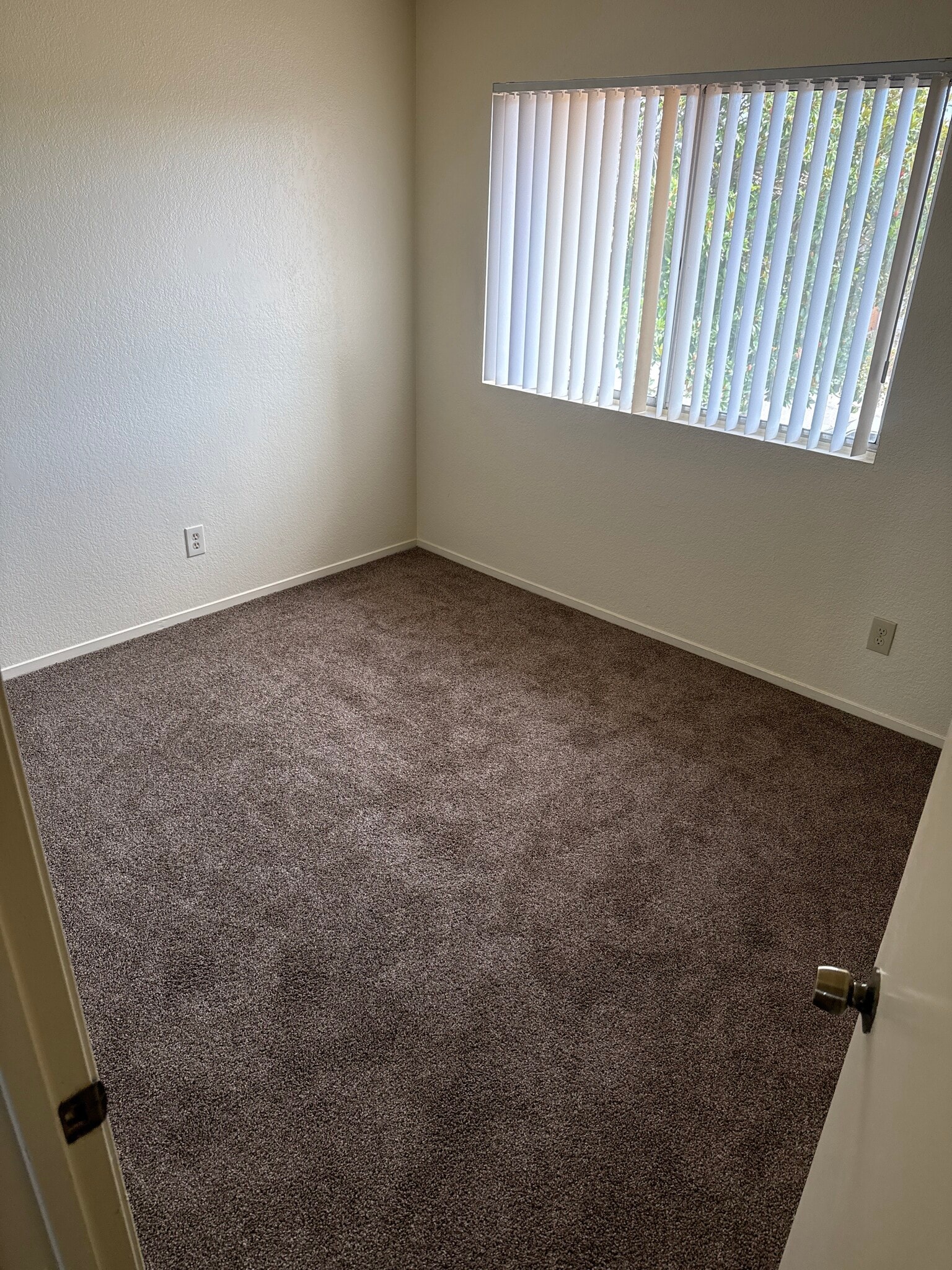 Building Photo - 701 Summerwood Ln