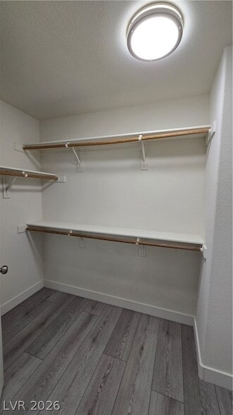 Building Photo - 1614 White Skies Ct