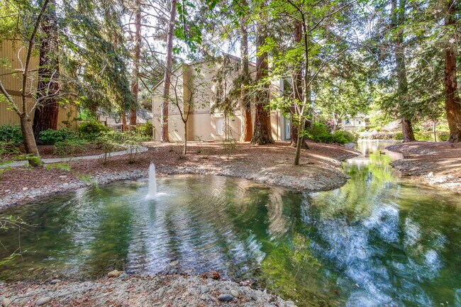 Building Photo - Fully Furnished Condo near Downtown Mountain View & Stevens Creek Trail