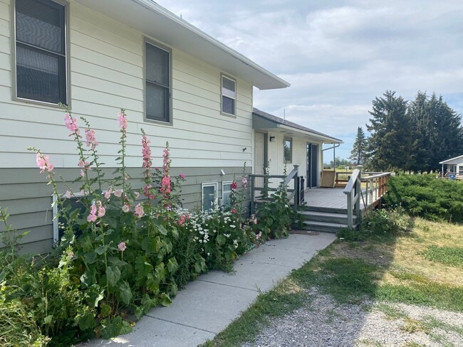 Building Photo - 4 bedroom, 2 bathroom Home off Spring Hill...