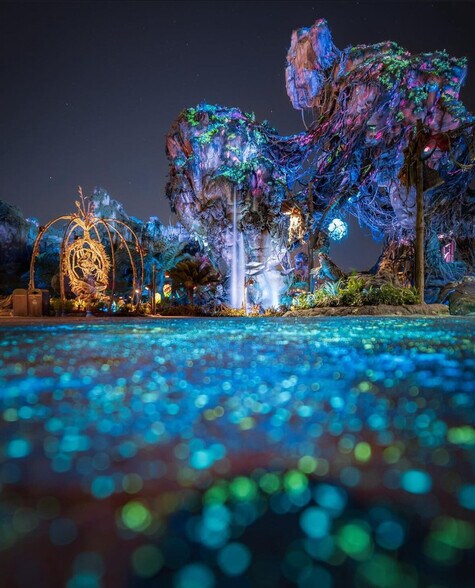 Building Photo - 421 Burma St