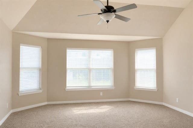 Building Photo - 2321 Petunia Ln