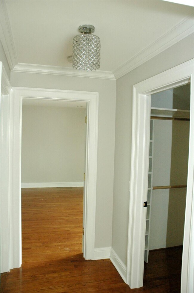 Building Photo - 20 Annadale St