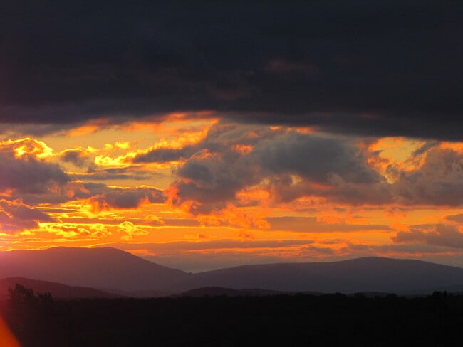 Building Photo - 8688 Lees Ridge Rd