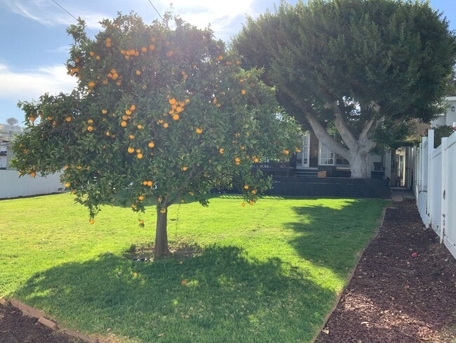 Building Photo - Beautiful single family home in Upper Holl...
