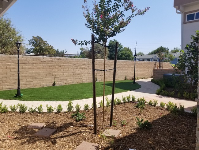 Common Area - Apricot Townhomes