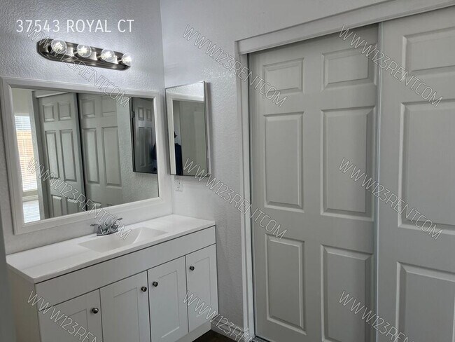 Building Photo - 37543 Royal Ct