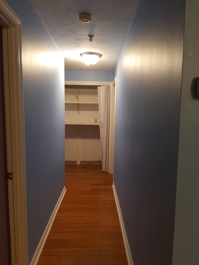 Hallway - 230 Willard St
