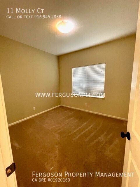 Building Photo - 11 Molly Ct