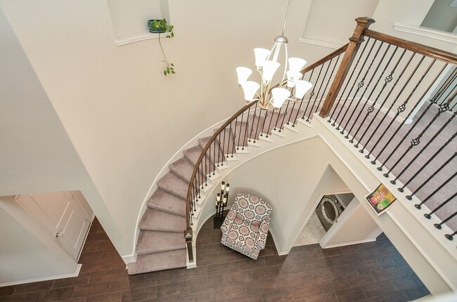 Building Photo - 3035 Dragonlet Ln