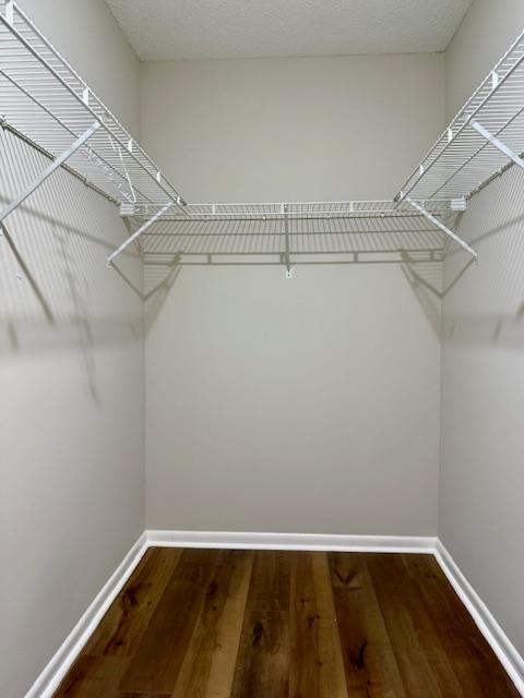 Building Photo - 1524 Cobbler Dr