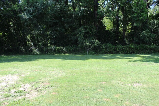 Building Photo - 107 Olde Mill Creek Dr