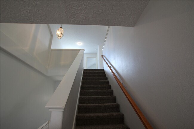 Building Photo - 814 Forest Thicket Ln