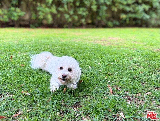 Building Photo - 507 9th St