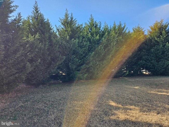 Building Photo - 269 S Marshview Terrace