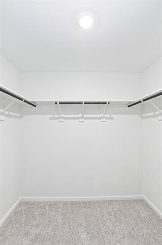 Building Photo - 1937 Ventasso Blvd