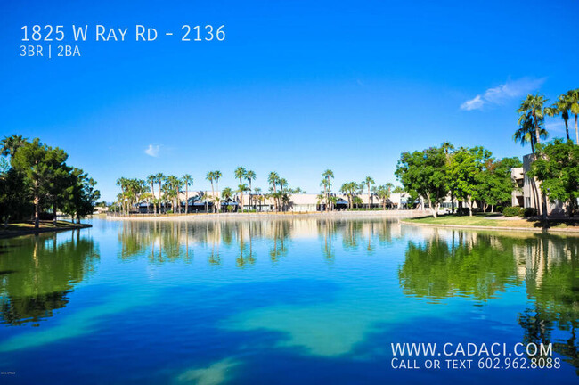 Primary Photo - 1825 W Ray Rd