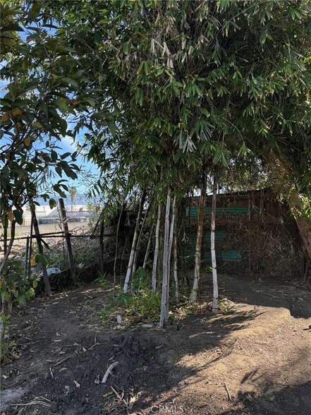 Building Photo - 1222 Hardt St