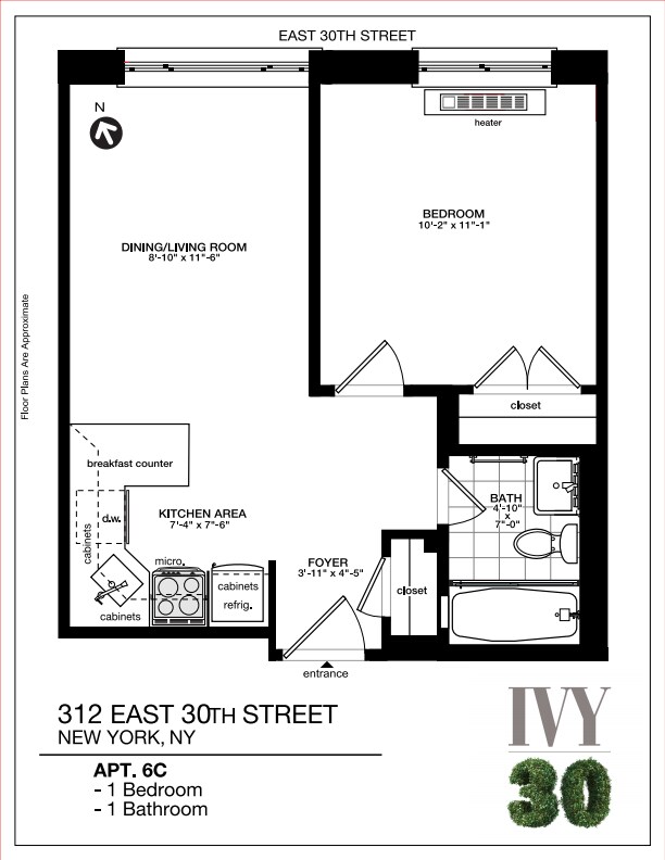 Floorplan - IVY 30