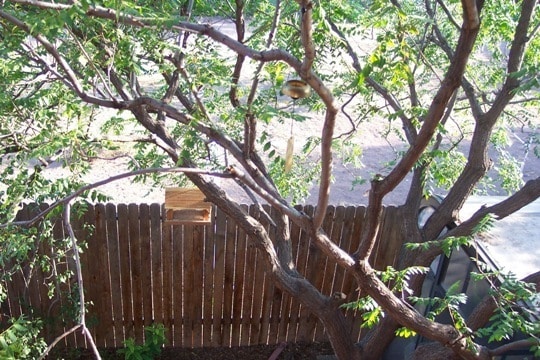 Building Photo - OLD TOWN AMAZING 2 Bedroom 2/BA 1.5/BA 2/Story 1475/SF Townhouse