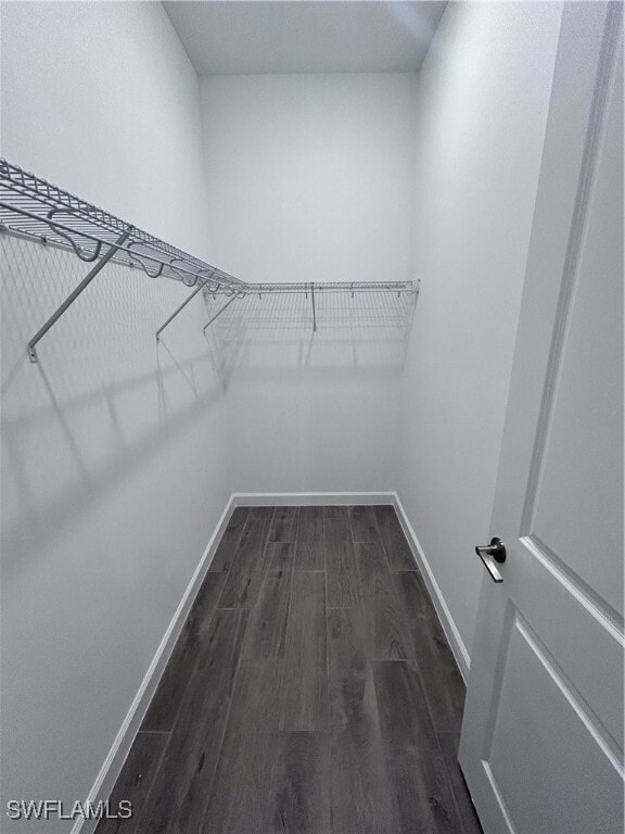 Building Photo - 11017 Hanging Vine Dr