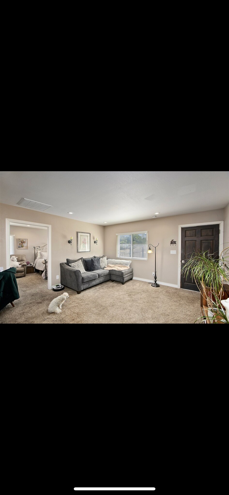 Living room - 1035 Olive Ave